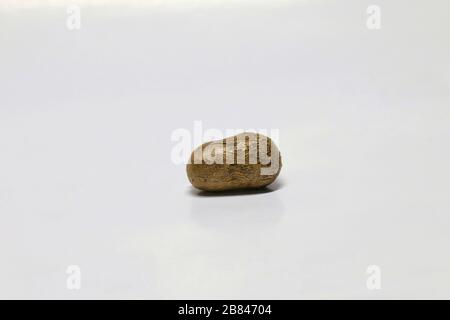 Dioscorea, Mun-NEB (mot thaïlandais), Dioscorea tuck frais, Dioscorea slats racine isolée sur fond blanc, Rubeola fotografie Banque D'Images