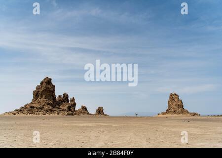 Afrique, Djibouti, Lac Abbe. Vue sur le paysage du lac Abbe. Un arbre est seul au milieu Banque D'Images