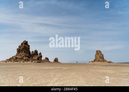 Afrique, Djibouti, Lac Abbe. Vue sur le paysage du lac Abbe. Un arbre est seul au milieu Banque D'Images