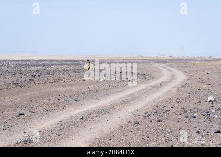 Afrique, Djibouti, Lac Abbe. Une femme marche dans le désert sur le chemin du lac Abbe Banque D'Images