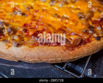 10 gros plan sur un fromage, une tomate et une pizza à la viande fraîchement cuits Banque D'Images