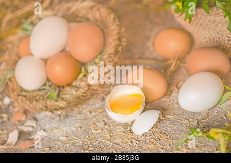 Plusieurs œufs de poule qui sont placés sur de jolies haystack à partir de pailles séchées Banque D'Images