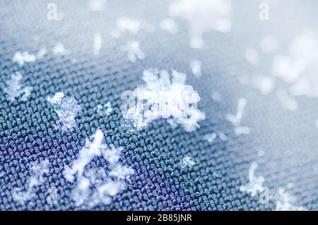 Macro photo de véritable cristal de neige. Flocon de neige sur fond bleu. Arrière-plan de la mode avec des flocons blancs Banque D'Images