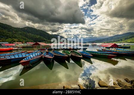 Des bateaux à rames colorés amarrés au lac Phewa à Pokhara, au Népal Banque D'Images