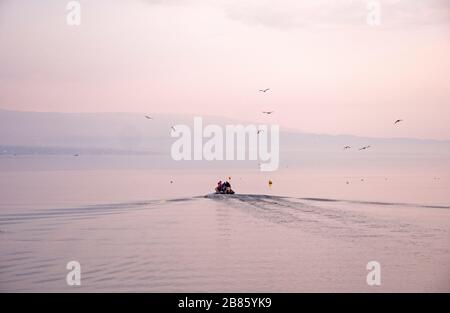 Les pêcheurs partent à la collecte des captures des pots. Lever du soleil au-dessus du lac de Genève pendant que l'équipage et leur petit bateau sortent du rivage pour vérifier leurs prises Banque D'Images