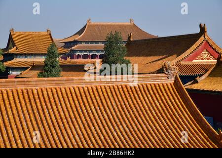 Toits des anciens palais de la Cité interdite à Beijing en Chine Banque D'Images