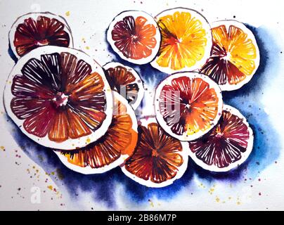 Illustration de l'aquarelle peinte à la main de tranches d'oranges différentes Banque D'Images