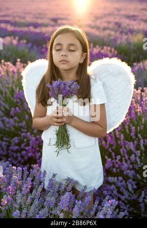 Petite fille portant une robe blanche et des ailes d'ange dans un champ de lavande Banque D'Images