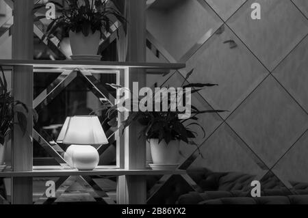 Photo de stock noir et blanc de l'intérieur moderne de la paroi miroir et de la lampe blanche sur étagère avec des plantes de ménage de feuillage luxuriant dans des pots de fleurs blanches. Banque D'Images