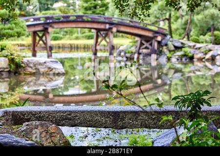 Pont en bois au-dessus de l'étang dans le parc Banque D'Images