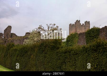 The Cockpit Garden and the Keep, Richmond Castle, North Yorkshire, Angleterre, Royaume-Uni Banque D'Images