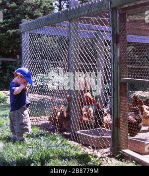 Ferme familiale américaine, petit garçon à la ferme Banque D'Images