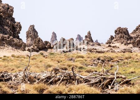 Afrique, Djibouti, Lac Abbe. Vue sur le paysage Moonlike de la formation de roches dans le lac Abbe. Banque D'Images