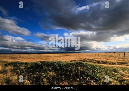 Nuages spectaculaires sur le désert de Patagonia Steppe, près de Punta Arenas, Patagonia, Chili, Amérique du Sud Banque D'Images