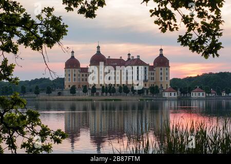 Le château de Moritzburg ; Allemagne entouré de feuilles Banque D'Images