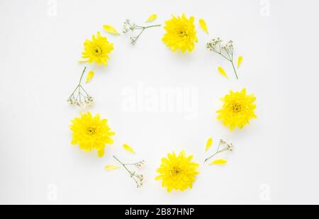 Fleurs de chrysanthème et de gypsophila disposées en forme ronde isolée sur un fond blanc avec copyspace. Mise au point sélective, image horizontale Banque D'Images