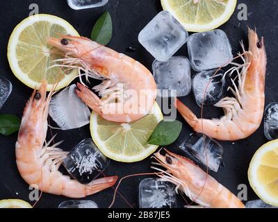 Crevettes fraîches aux épices au romarin ou au basilic, citron et glace sur une plaque en pierre noire en arrière-plan. Vue de dessus des ingrédients de fruits de mer. Banque D'Images