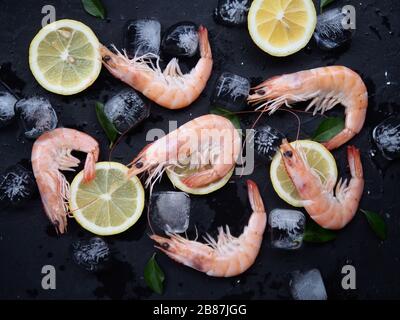 Crevettes fraîches aux épices au romarin ou au basilic, citron et glace sur une plaque en pierre noire en arrière-plan. Vue de dessus des ingrédients de fruits de mer. Banque D'Images