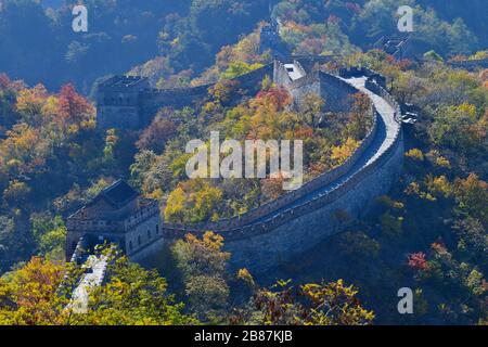 Grand mur de Chine à Mutianyu pendant l'automne avec beau feuillage de chute et un seul homme nettoyant le mur des feuilles Banque D'Images