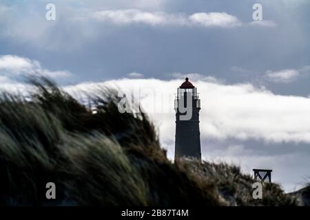 Paysage de dunes, nouveau phare, Borkum, île, Frise orientale, hiver, saison, automne, Basse-Saxe, Allemagne, Banque D'Images