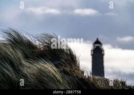 Paysage de dunes, nouveau phare, Borkum, île, Frise orientale, hiver, saison, automne, Basse-Saxe, Allemagne, Banque D'Images