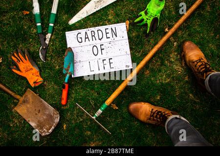 Vue en haut d'une visionneuse entourée d'outils d'un jardinier et du jardinier lui-même. La visionneuse présente un « jardin de la vie ». Style de vie. Banque D'Images