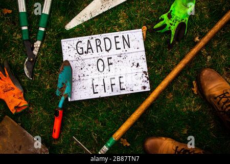 Vue en haut d'une visionneuse entourée d'outils d'un jardinier et du jardinier lui-même. La visionneuse présente un « jardin de la vie ». Style de vie. Banque D'Images