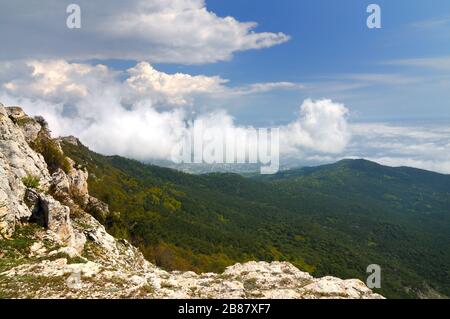 Beau paysage, arbre pousse au sommet de la montagne rocheuse, vallée de la forêt et ciel bleu avec des nuages blancs Banque D'Images