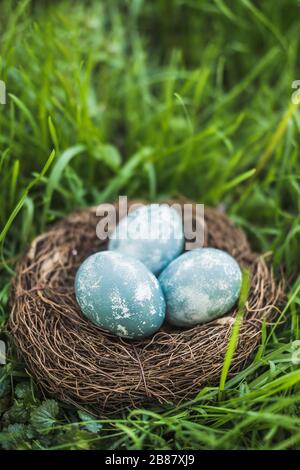 Les œufs de pâques peints et texturés bleus dans un nid brun se trouvent dans de l'herbe fraîche verte. Le concept des vacances de printemps et de la chasse aux œufs Banque D'Images