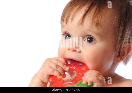 Un petit bébé d'un an tient à portée de main un jouet coloré de dentition. Jouet de dents d'enfant. Portrait sur fond blanc isolé Banque D'Images