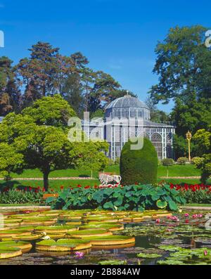 Water Lily Pond, jardin zoologique-botanique Wilhelma, Stuttgart, Bade-Wuerttemberg, Allemagne Banque D'Images