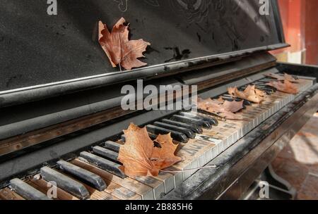 Feuilles d'érable séchées sur les touches d'un vieux piano endommagé Banque D'Images