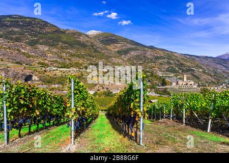 Vignes et château de Sarre, Val d' Aosta, Italie. Banque D'Images