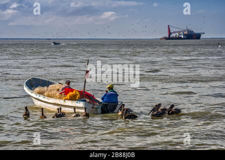 Bateau de pêche, pélicans au bord de l'eau de la baie de Campeche, de la Calle 20 (Malecon) à Ciudad del Carmen, dans l'état de Campeche, au Mexique Banque D'Images