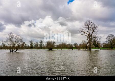 Inondation sur le Rhin près de Düsseldorf Banque D'Images