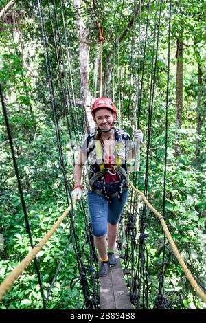 Aventure à la jungle canopée, allez à la pape, à Reserva Natural Tanimboca, réserve naturelle, Leticia, forêt tropicale, Amazonie, Colombie, Amérique du Sud. Banque D'Images