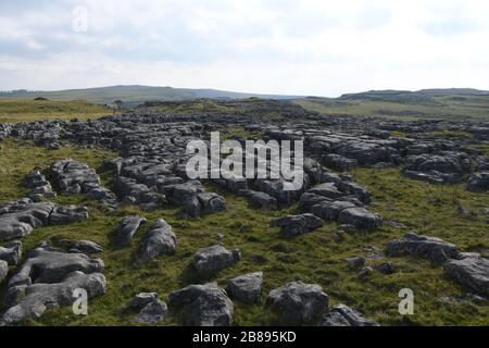 Pavé calcaire dans la région de Malham, Yorkshire du Nord, Angleterre, Royaume-Uni Banque D'Images