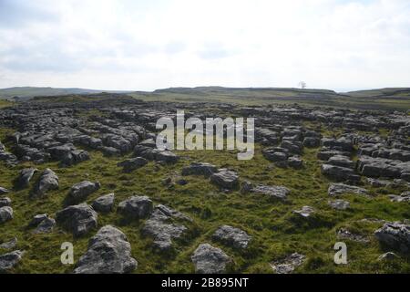 Pavé calcaire dans la région de Malham, Yorkshire du Nord, Angleterre, Royaume-Uni Banque D'Images