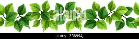 Bordure horizontale vectorielle transparente avec feuilles vertes. Illustration de Vecteur