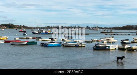 Vue panoramique sur les bateaux colorés amarrés dans le port de Chichester près du village d'Itchenor, West Sussex, Royaume-Uni Banque D'Images