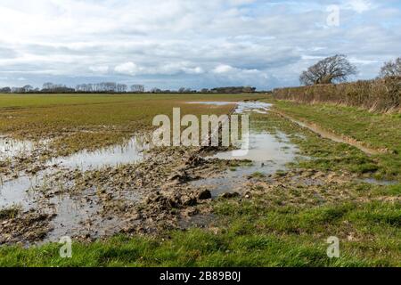 Champ inondé de cultures céréalières sous l'eau, West Sussex, Angleterre, Royaume-Uni, inondations de mars 2020 Banque D'Images