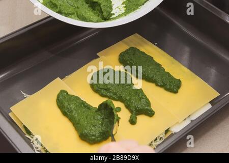 Mettre la sauce aux épinards sur les pâtes lasagnes brutes dans la plaque de cuisson Banque D'Images