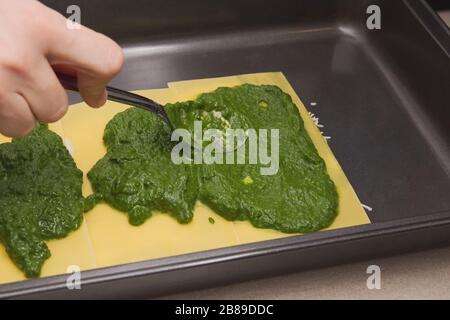 Mettre la sauce aux épinards sur les pâtes lasagnes brutes dans la plaque de cuisson Banque D'Images