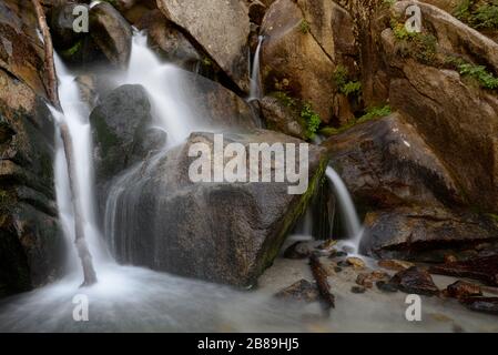 L'eau coule entre les rochers du canyon Bells dans les montagnes Wasatch Banque D'Images