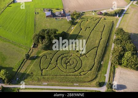 , labyrinthe de maïs à la ferme Brackenberg Besten à Schermbeck, 21.09.2013, vue aérienne, Allemagne, Rhénanie-du-Nord-Westphalie, région de la Ruhr, Schermbeck Banque D'Images