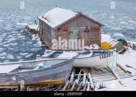 Bateaux de pêche et de pêche sur le front de mer du village de Fogo, sur l'île Fogo, Terre-Neuve, Canada {pas de mainlevée de propriété; disponible pour rédaction l Banque D'Images