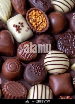 Un assortiment décadent de chocolats de fantaisie au lait, au chocolat noir et blanc Banque D'Images