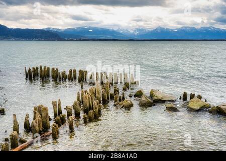 Les poteaux en bois dépassent de l'eau sur le bord du lac. Banque D'Images