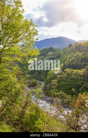 Paysage de montagne avec des forêts et des cours d'eau au Japon Banque D'Images