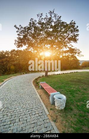 Beau parc de la ville. Un banc en bois au centre. Grand arbre et une route à proximité du soleil. Banque D'Images